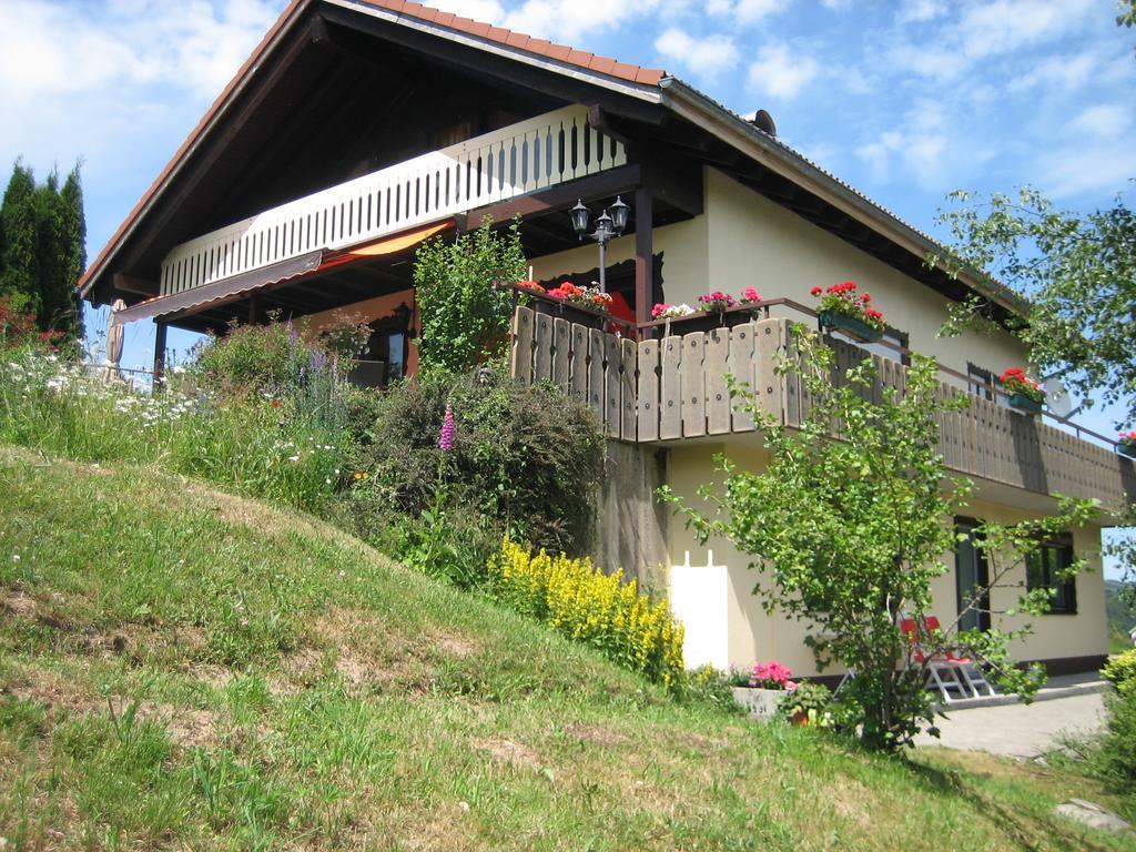 Ferienwohnung Marie Feldberg  Buitenkant foto